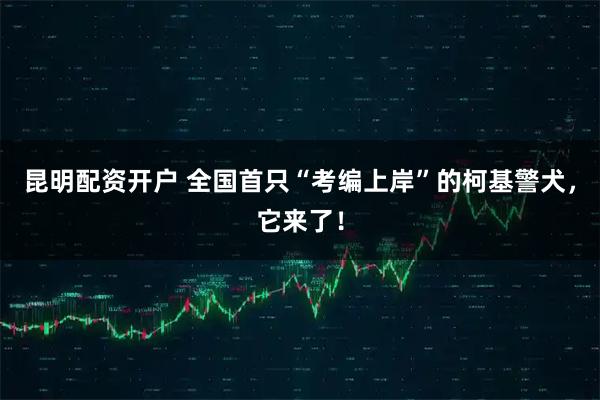 昆明配资开户 全国首只“考编上岸”的柯基警犬，它来了！